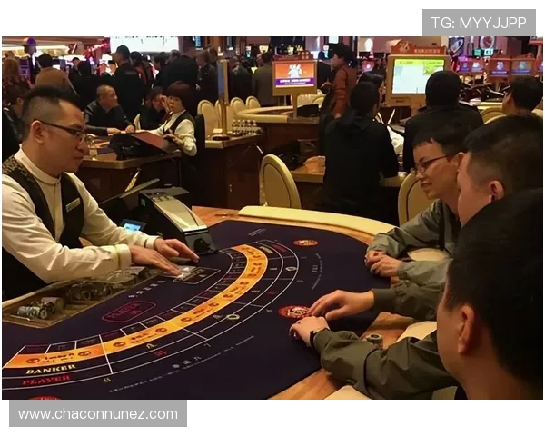 澳门百家乐庄闲对决策略,赢取丰厚筹码的实战经验总结 澳门百家乐庄闲对决策略,赢取丰厚筹码的实战经验总结